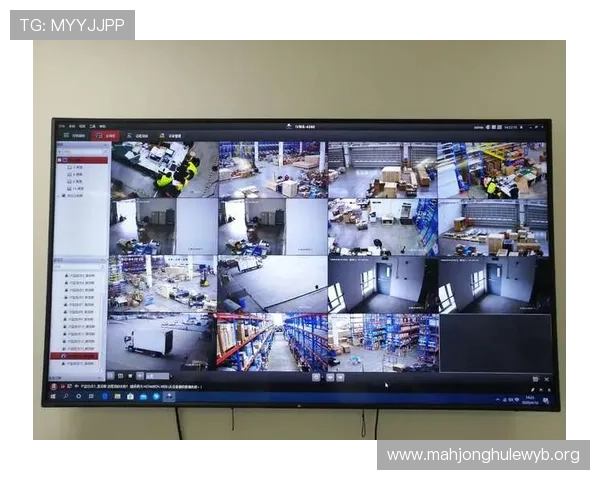 近期PG网站出现异常访问问题，专家分析可能涉及技术故障或政策调整引发讨论